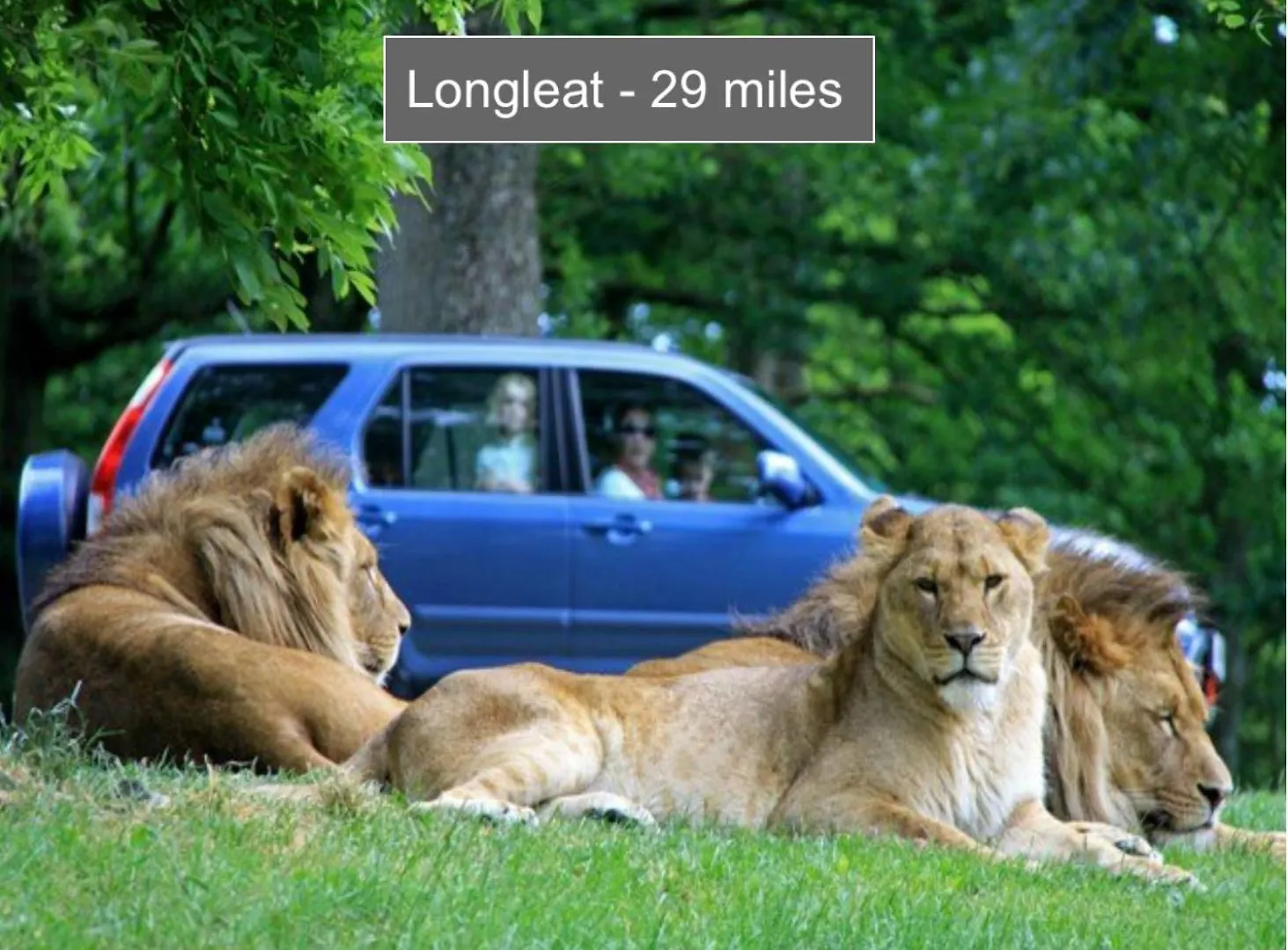 Luxury Container Lodge Bristol United Kingdom